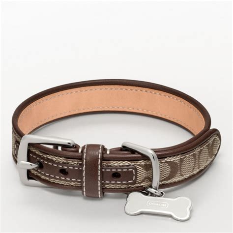 coach dog collars